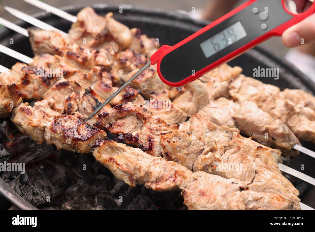 Thermometer food meat temperature hi-res stock photography and images -  Alamy