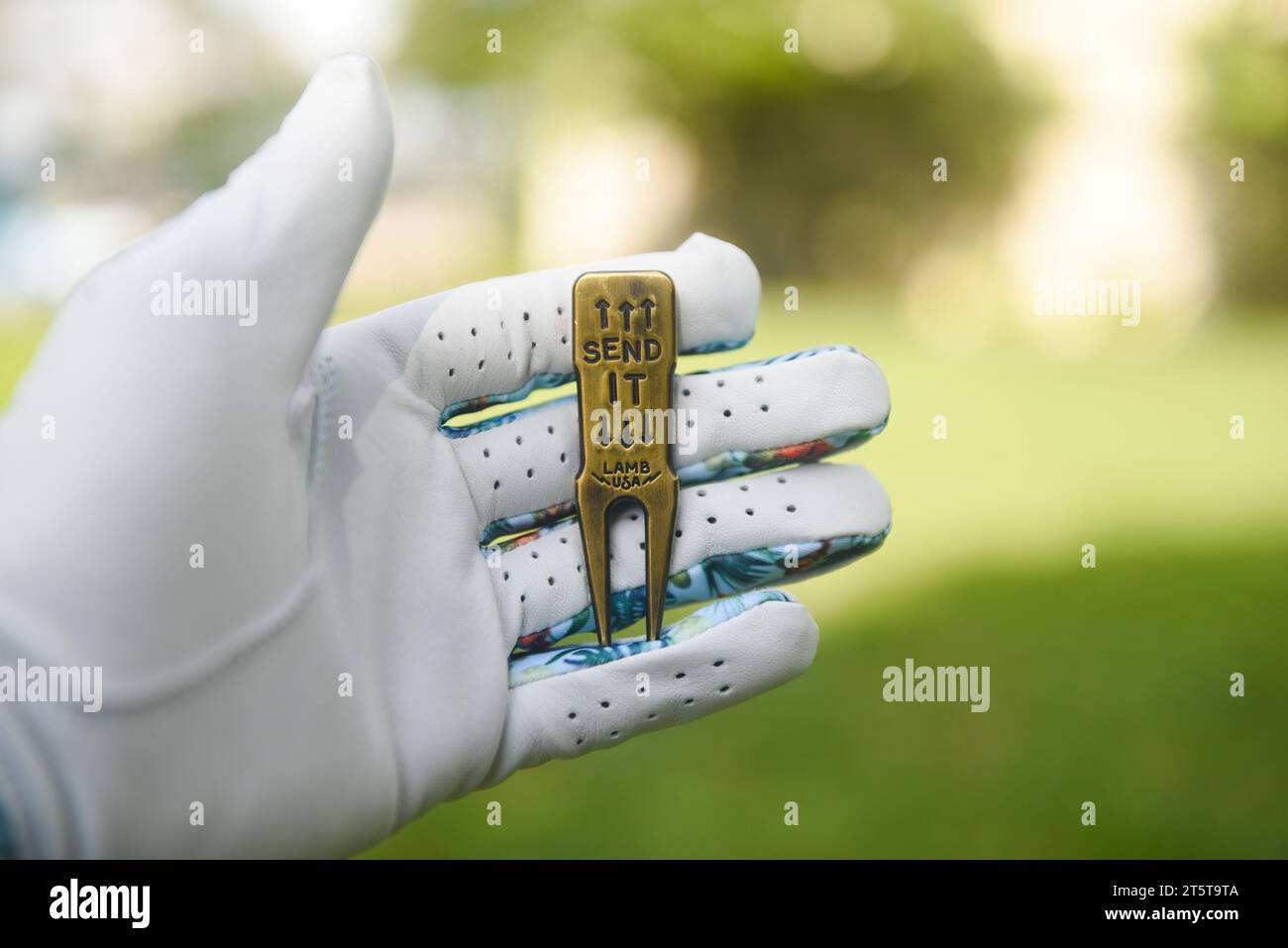 Golf divot repair tool in grass Stock Photo Alamy