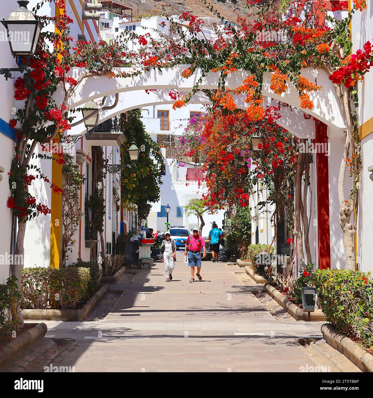 Cascading bougainvillea flowers in vivid red, magenta and orange, frame the streets of Playa de Mogan, Gran Canaria, where a couple of tourists walk, Stock Photo