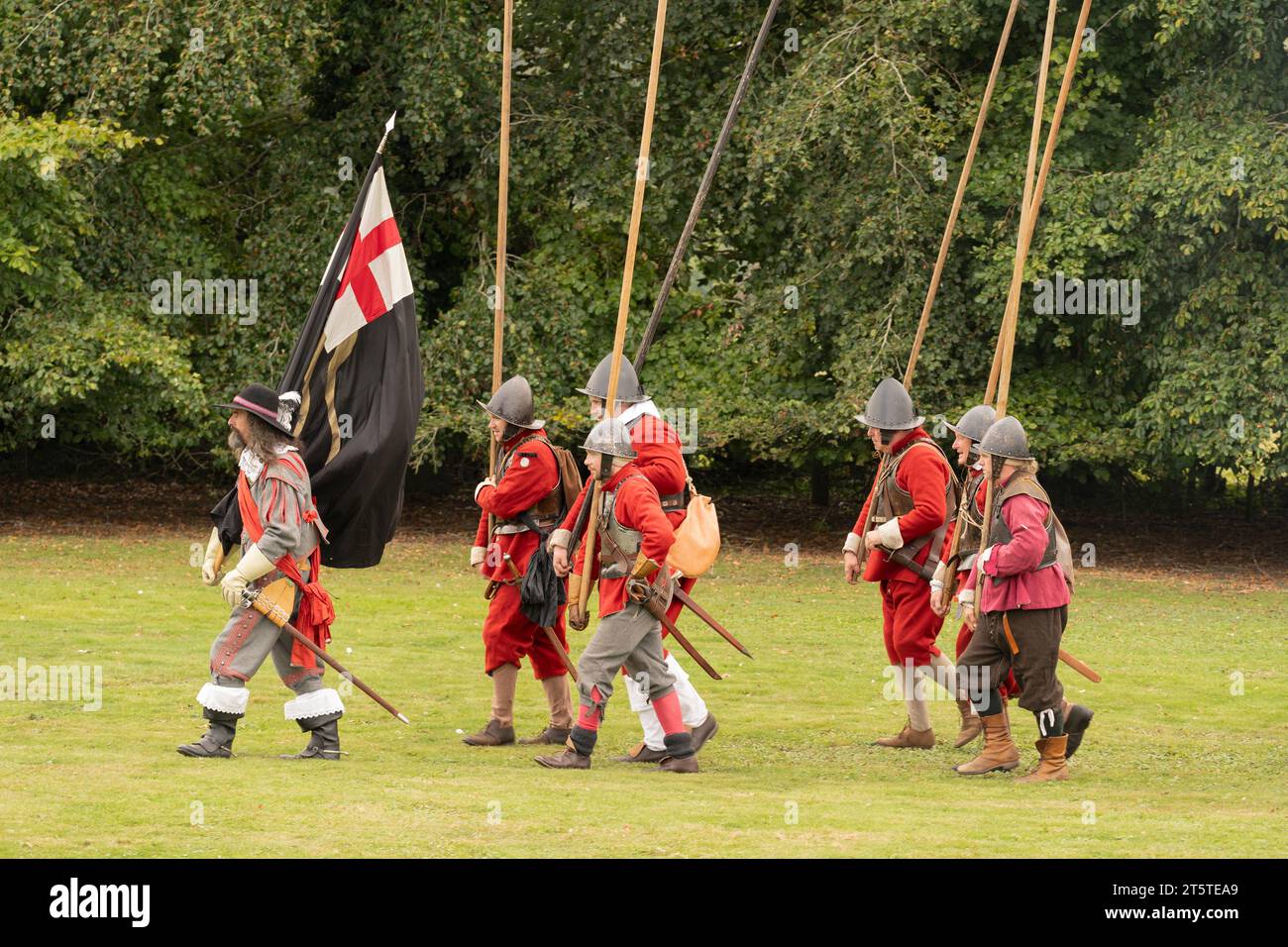Company ensign and pikemen at a reenactment of the Siege of Basing House, English civil war, English Civil War Society 16.09.23, Basingstoke Stock Photo