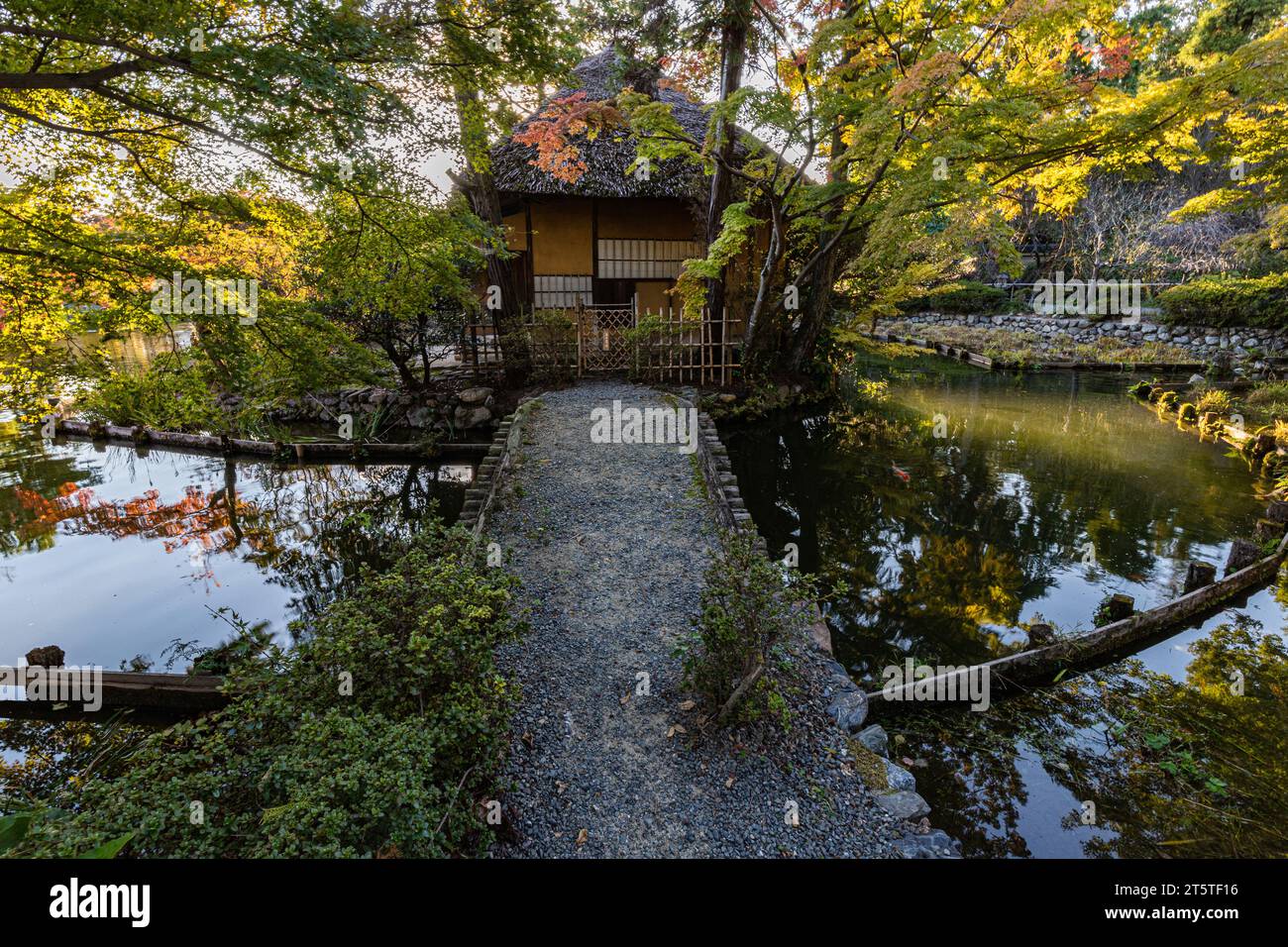 Umenomiya Taisha Shrine Garden is yet another one of Kyoto’s hidden gems.  Home to a gorgeous pond and sprawling garden, Umenomiya Taisha shows a vari Stock Photo