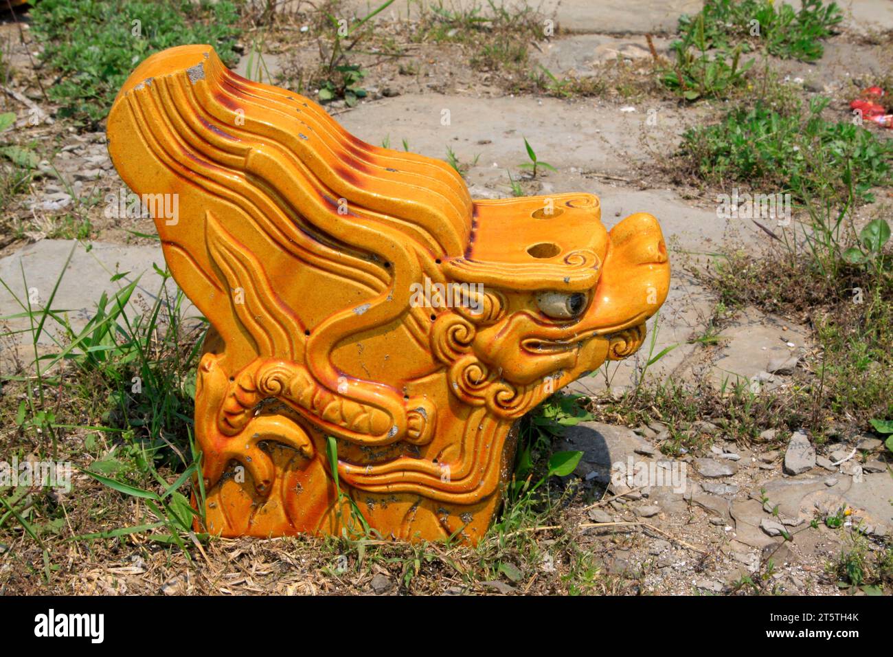 Yellow glazed tile dragon head in the ground Stock Photo
