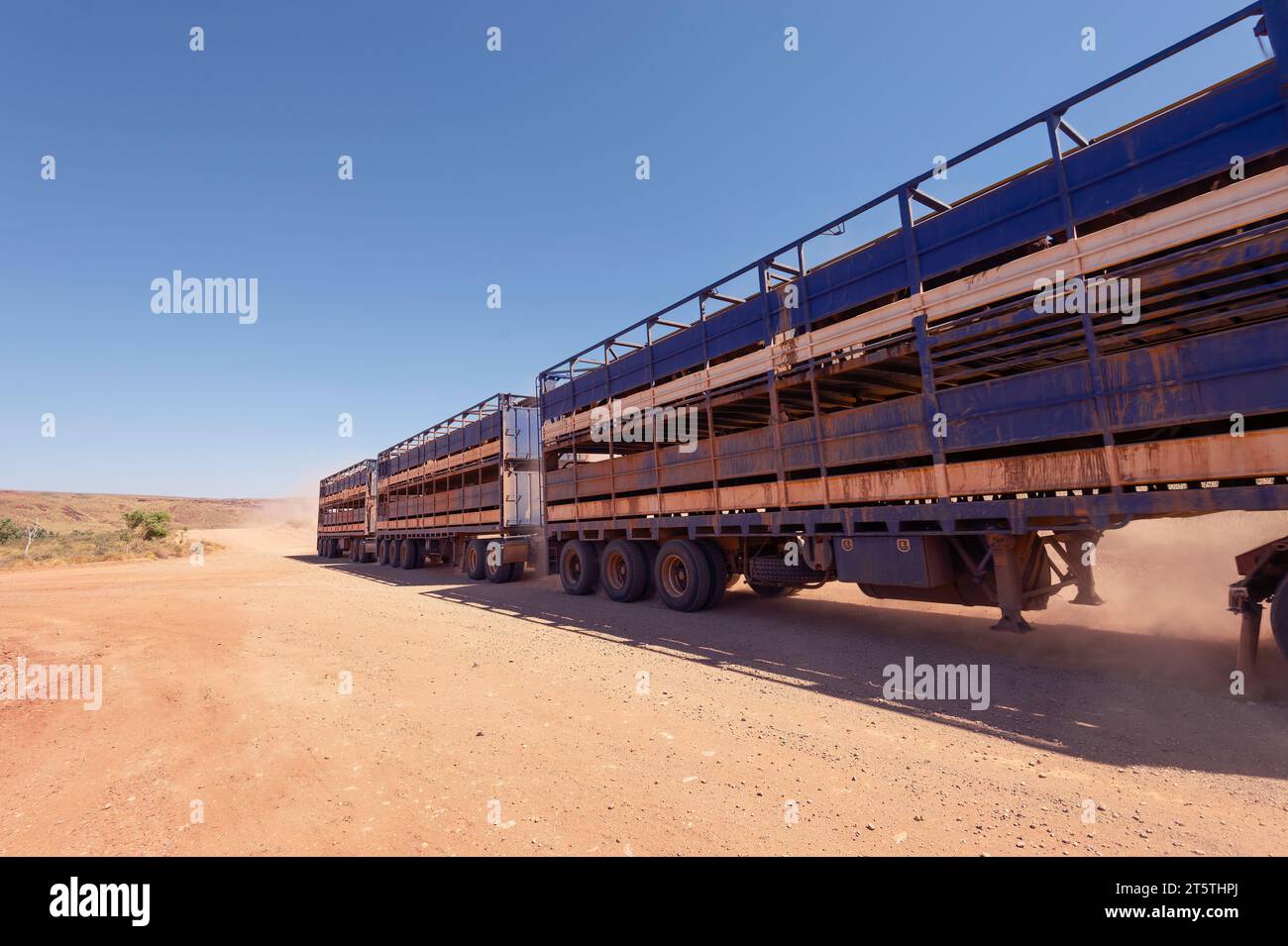 A cattle train driving on a dirt road in the Pilbara, a mining region in Western Australia, Australia Stock Photo