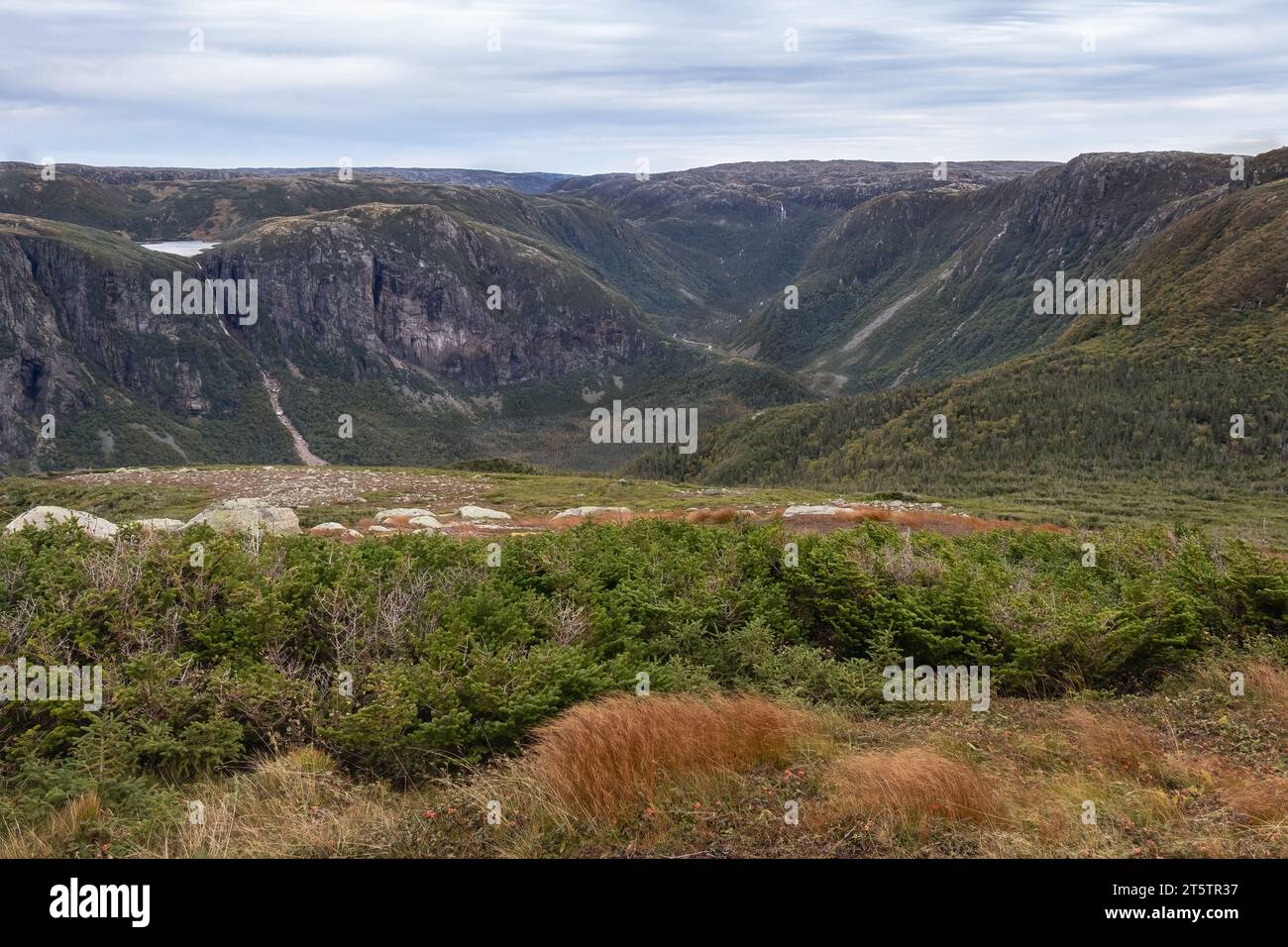 Scenic view and vegetation from Gros Morne Mountain trail in Newfoundland Canada Stock Photo