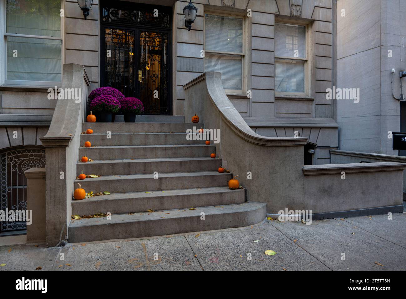 Colorful Pumpkins and Flowers on the Stairs of an Old Brownstone Home ...