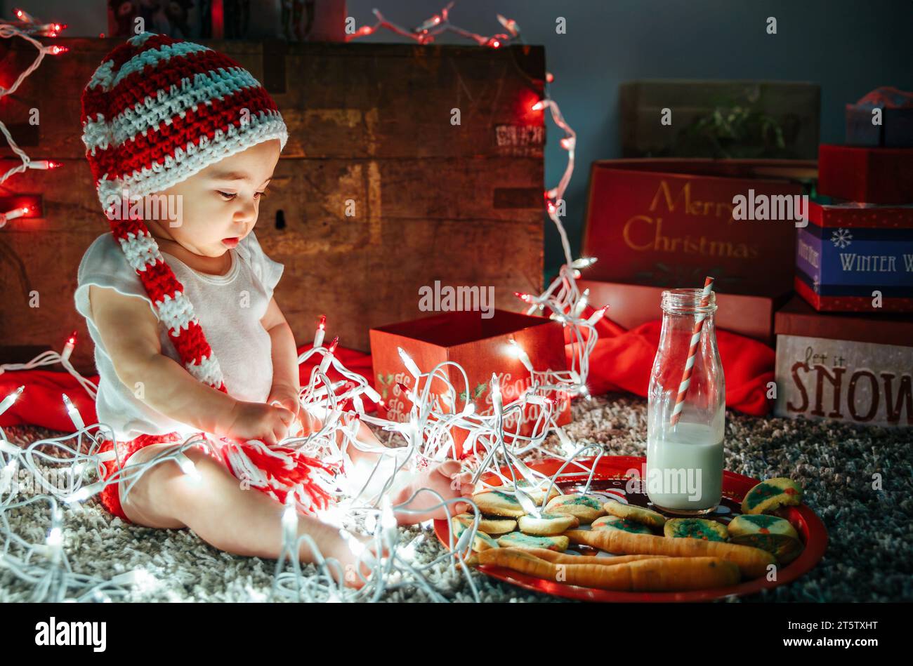 Child in Festive Knit Hat Playing with Christmas Lights with Milk and Cookies and Carrot for Santa and Reindeer Stock Photo