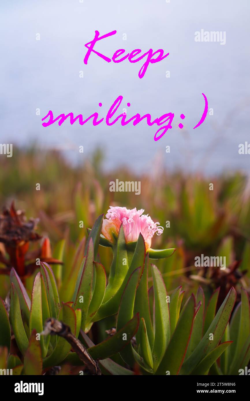 Quote. Motivational and inspirational quotes - Keep smiling. Stock Photo