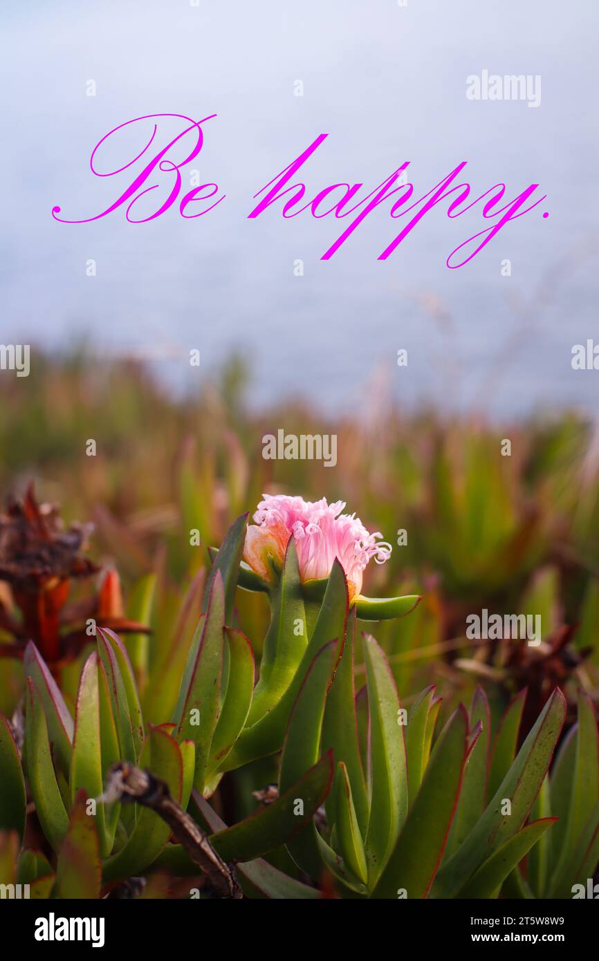 Quote. Motivational and inspirational quotes - Be happy. Stock Photo