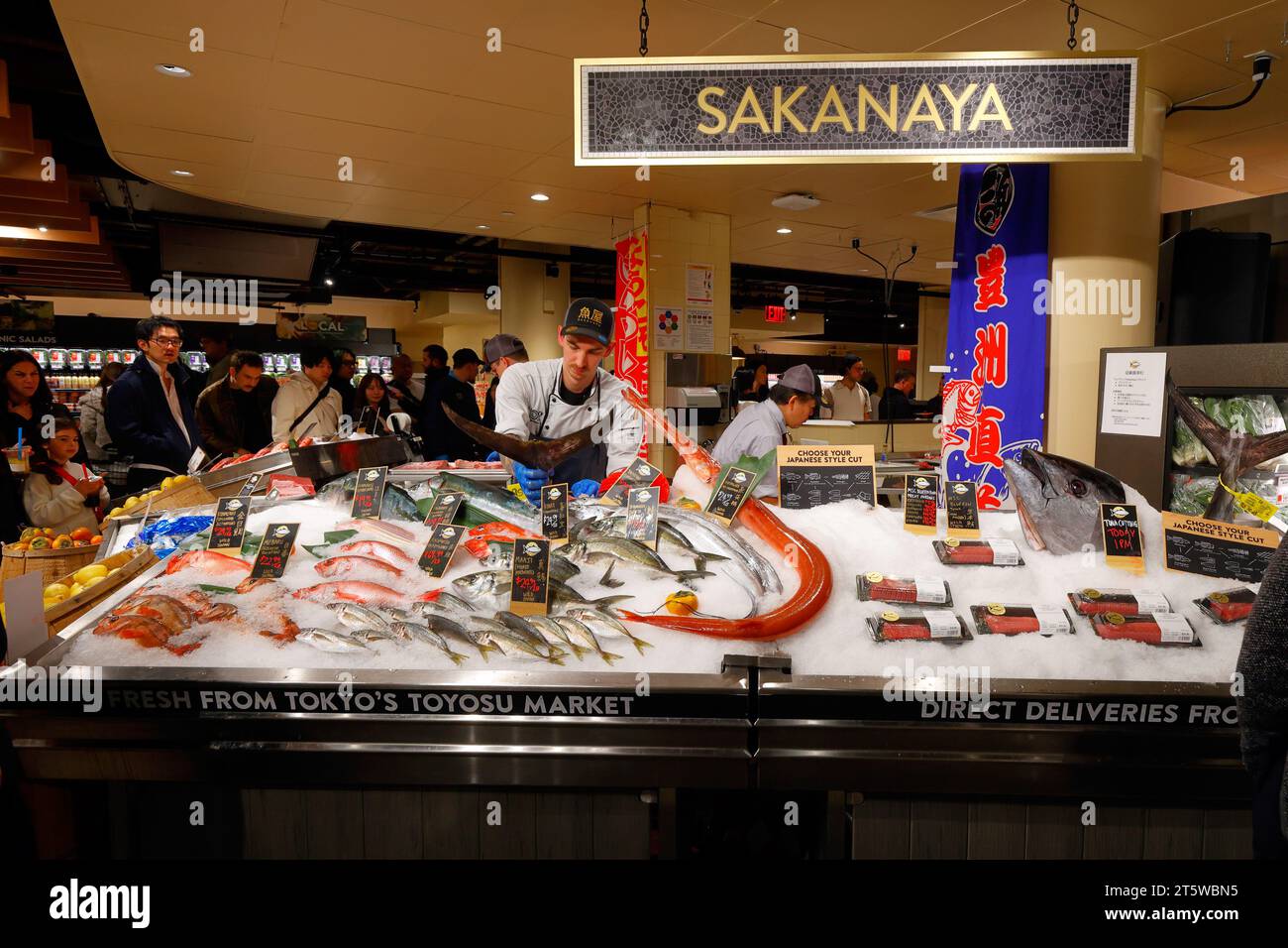 05 November 2023, New York. A fishmonger inserts a bluefin tuna tail into a display of fresh fish and seafood at the Sakanaya fish market inside Wegmans Astor Place. The fish counter features domestic fresh fish and seafood, and fish imported from Tokyo's Toyosu Fish Market. Stock Photo