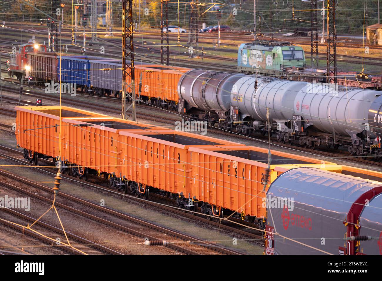 Dresden, Germany. 07th Nov, 2023. Freight trains stand on a siding