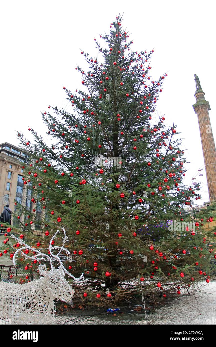 Christmas tree in square Christmas market center, Glasgow, UK