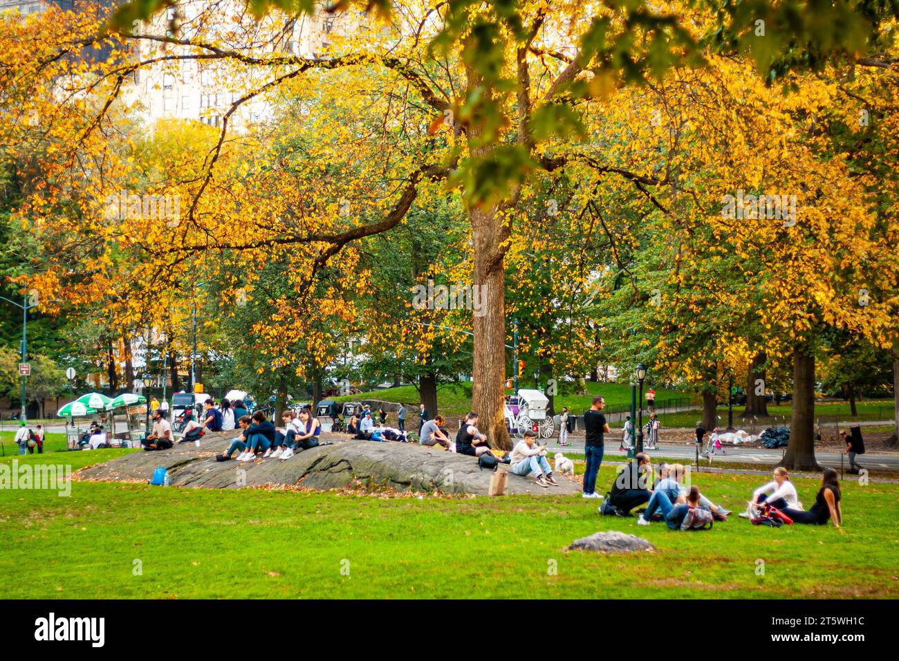 People in Central Park under colorful autumn foliage Stock Photo - Alamy