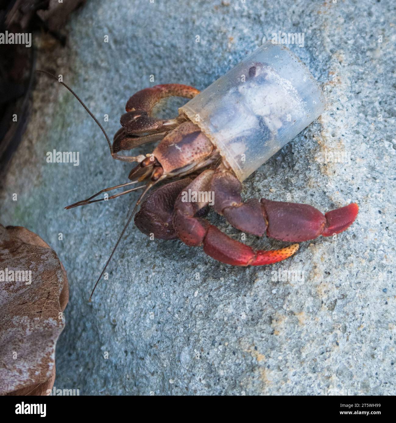 Plastic products hi-res stock photography and images - Alamy