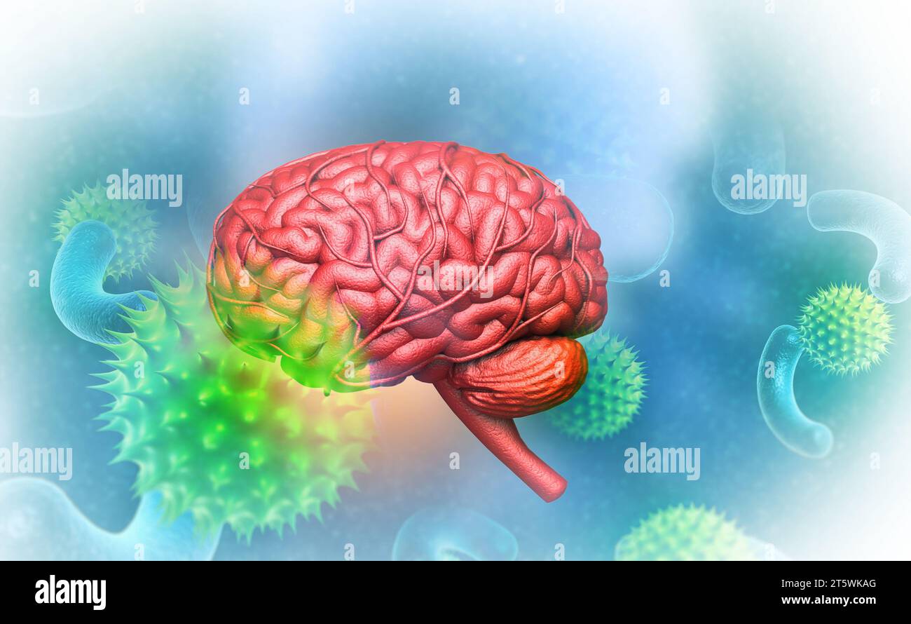 Virus with human brain. 3d illustration Stock Photo