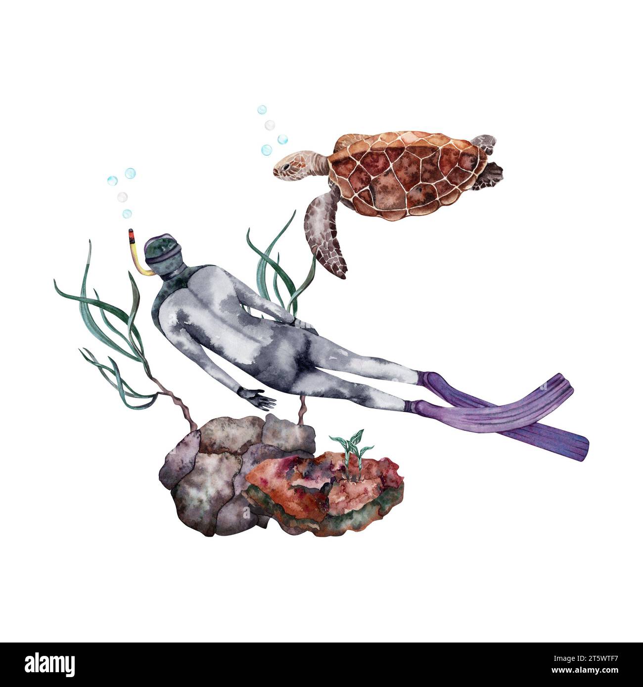 Marine life composition with a diver, coral reef, seaweed and a sea ...