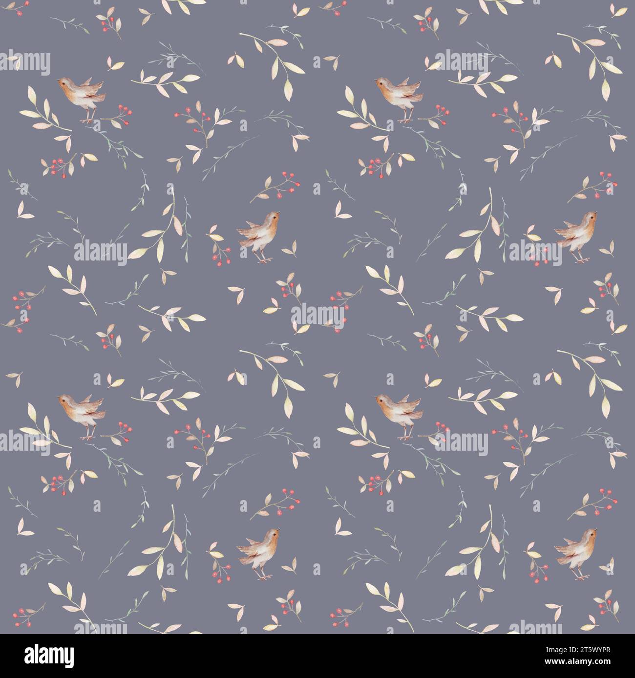 Robin Bird Watercolor Pattern, Gray Background Color, Wild Floral Seamless Pattern, Christmas Bird Pattern Wallpaper Stock Photo