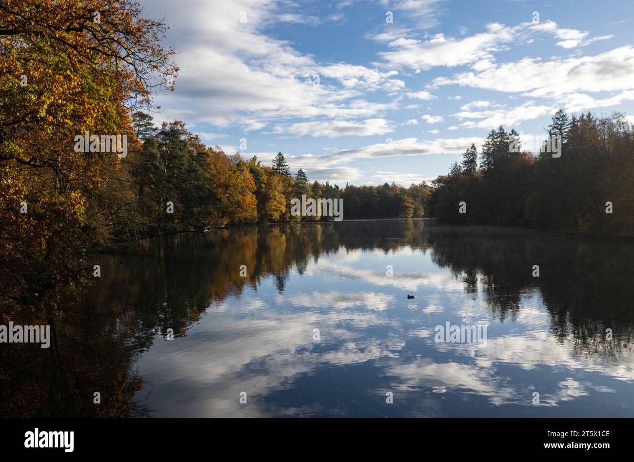 Stuttgart, Germany. 07th Nov, 2023. The sky is reflected in Lake ...