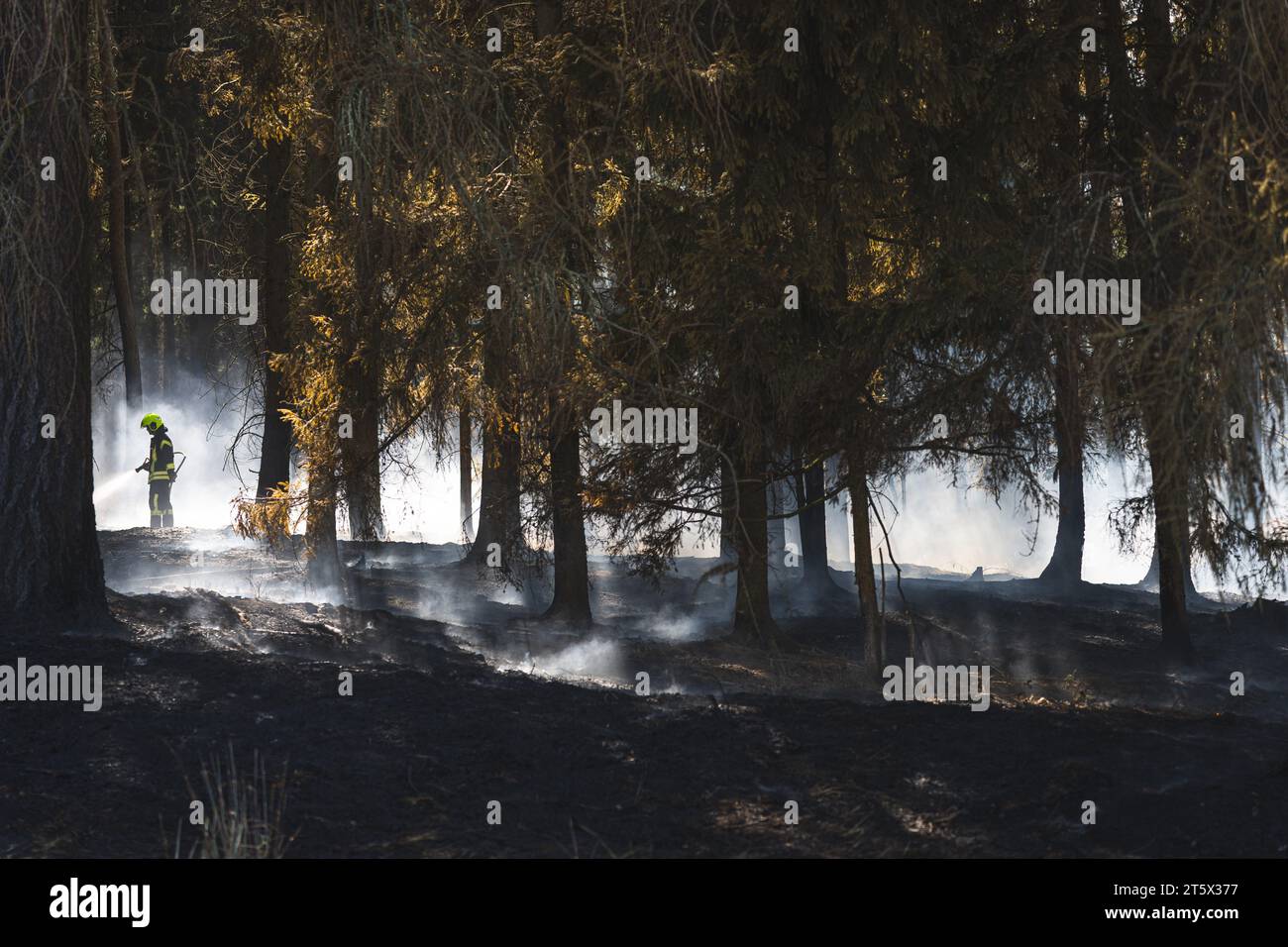 Ein Feuerwehrmann bekämpft einen Waldbrand. Rauch steigt auf, der Waldboden ist völlig verbrannt Stock Photo