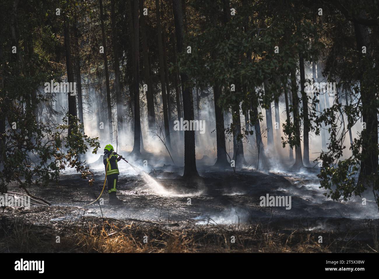Ein Feuerwehrmann bekämpft einen Waldbrand. Rauch steigt auf, der Waldboden ist völlig verbrannt Stock Photo