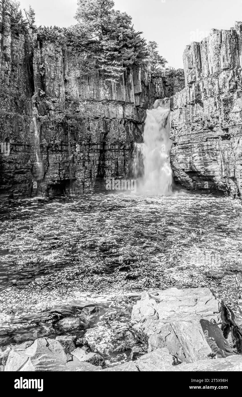 High Force, one of Englands highest Waterfall in Forest-in-Teesdale, North England, in black and white Stock Photo