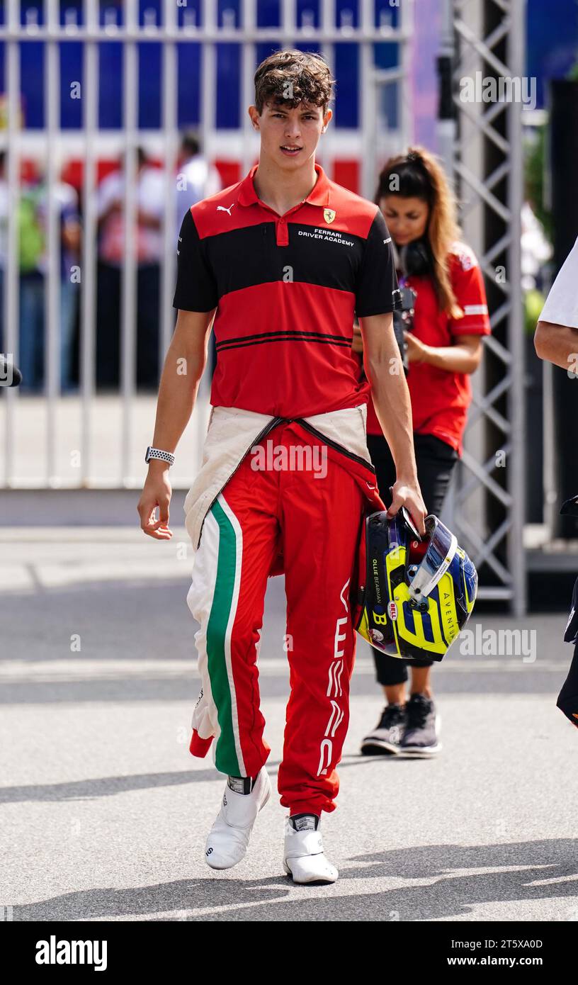Bearman hi-res stock photography and images - Page 5 - Alamy