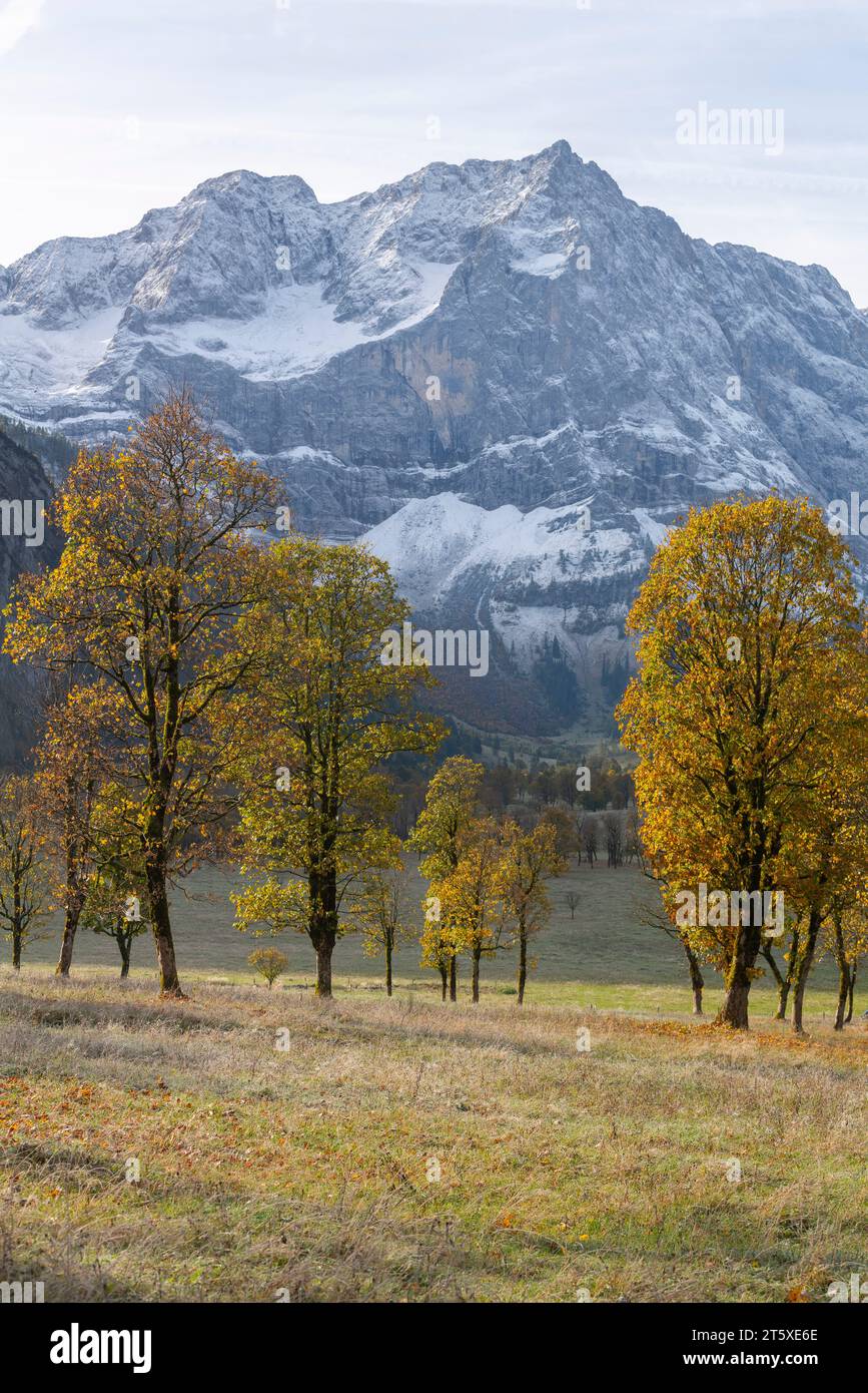A touristic highlight, colorful autumn season in Engtal or Eng  Valley, Nature Park Karwendel, Tyrol, Austria, Europe Stock Photo