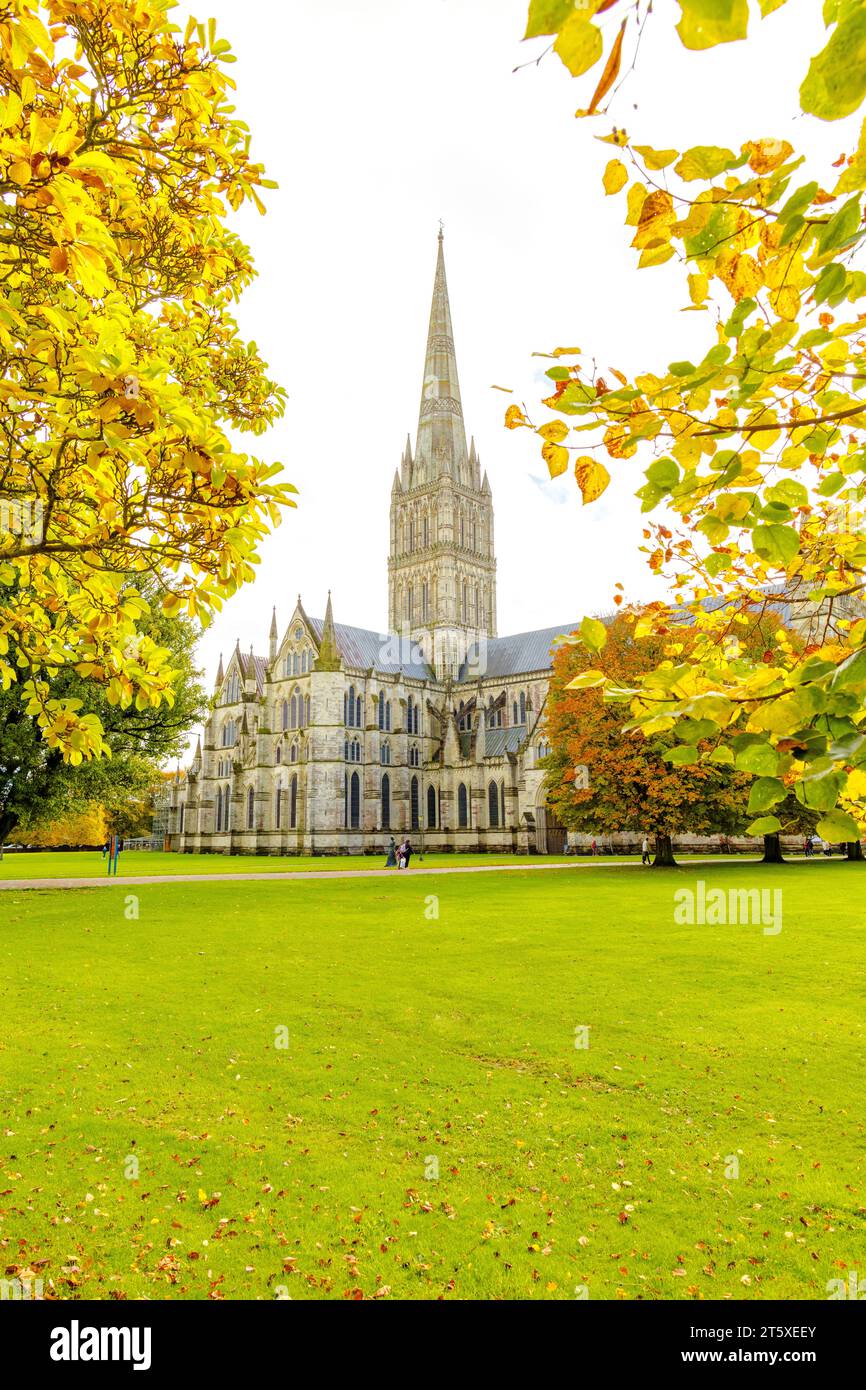 salisbury premier cinemas