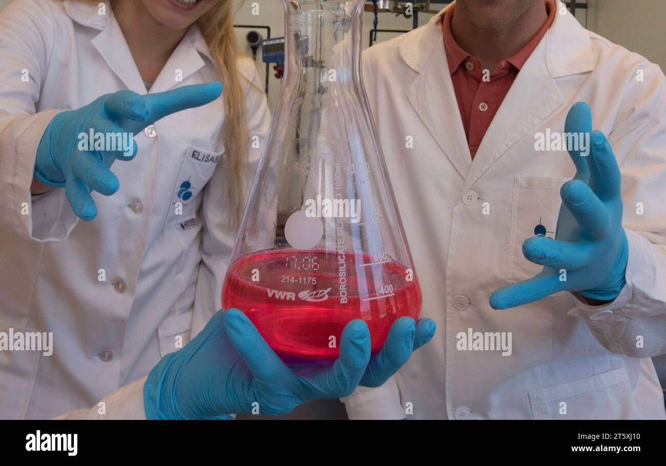 Scientific Investigation And Research Of Chemicals In A Chemical Laboratory Research Of Chemicals In A Chemical Laboratory Credit: Imago/Alamy Live News Stock Photo