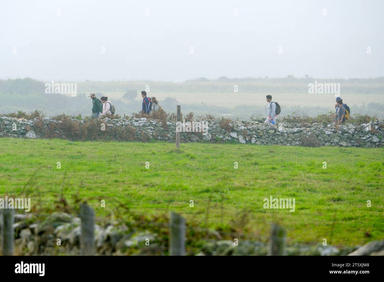 Frankreich, La Hague, 03.09.2023: Wanderer mit Rucksäcken zwischen den typischen Mauern, die die Felder begrenzen, im Frühdunst auf dem Cap de la Hagu Stock Photo
