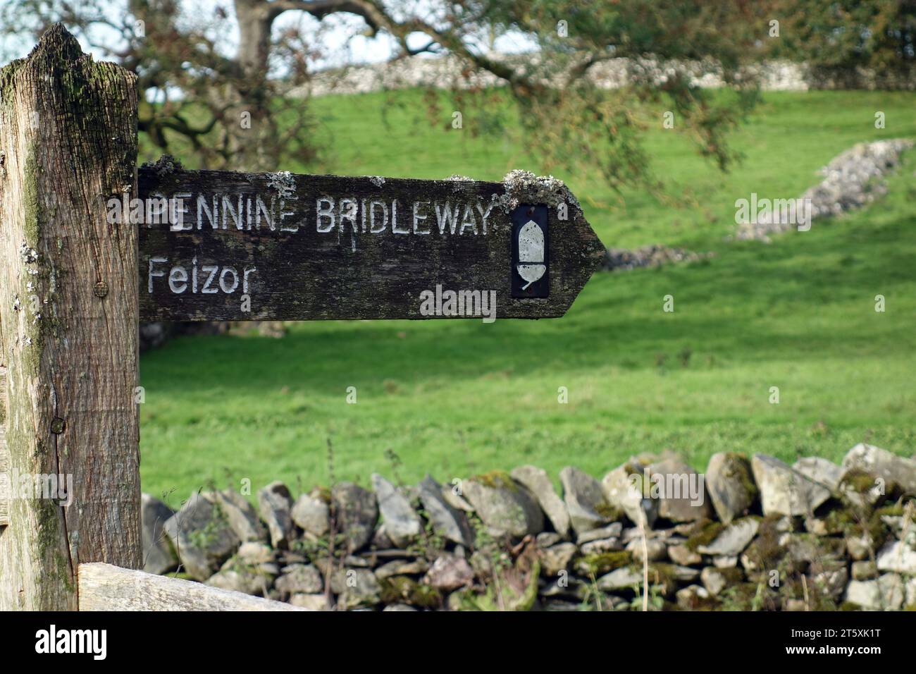 Wooden Signpost for Pennine Bridleway to Auswick from Feizor in the Yorkshire Dales National Park, England, UK. Stock Photo