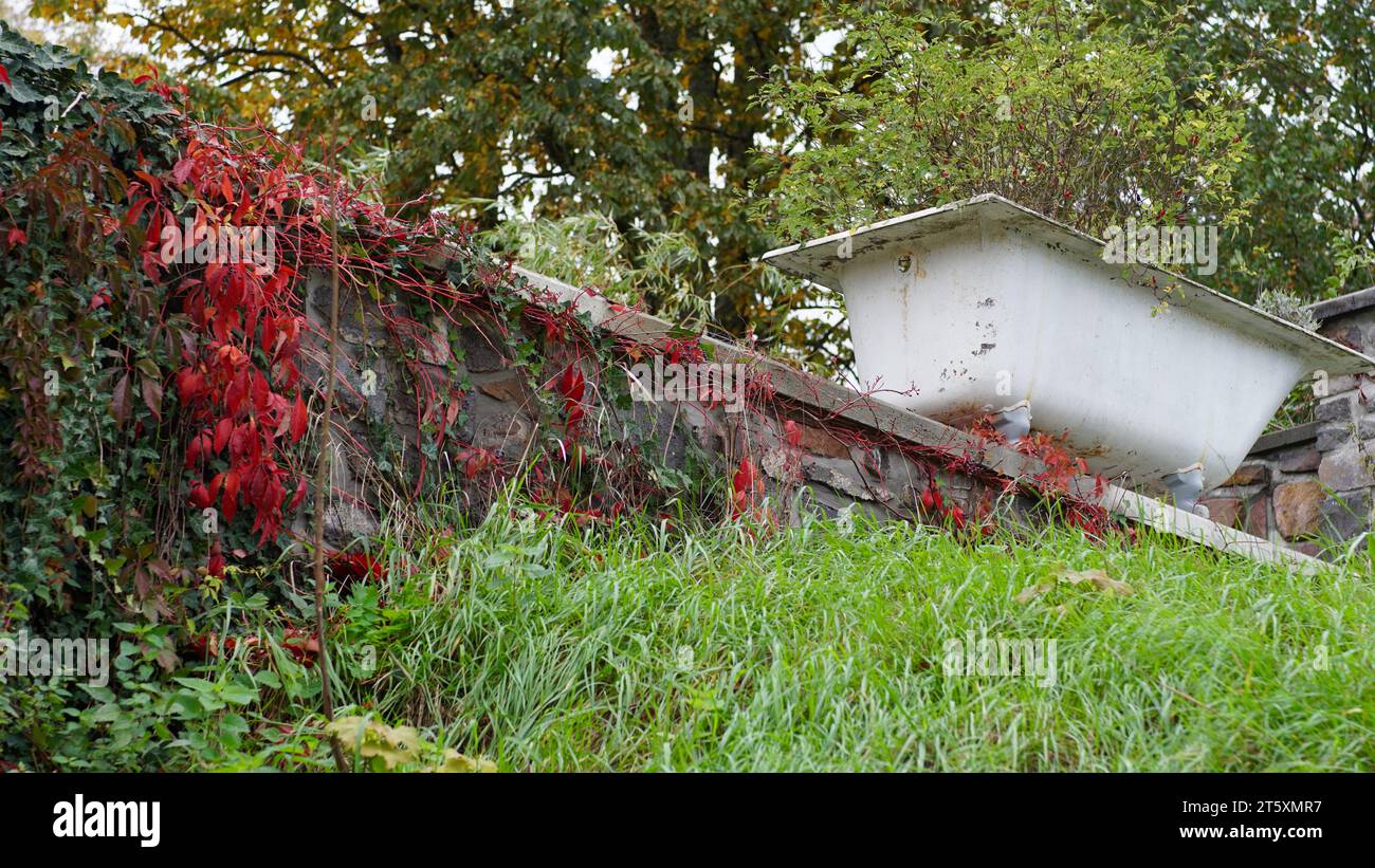 An old bathtub as decoration on a stonewall with wild vine. Stock Photo