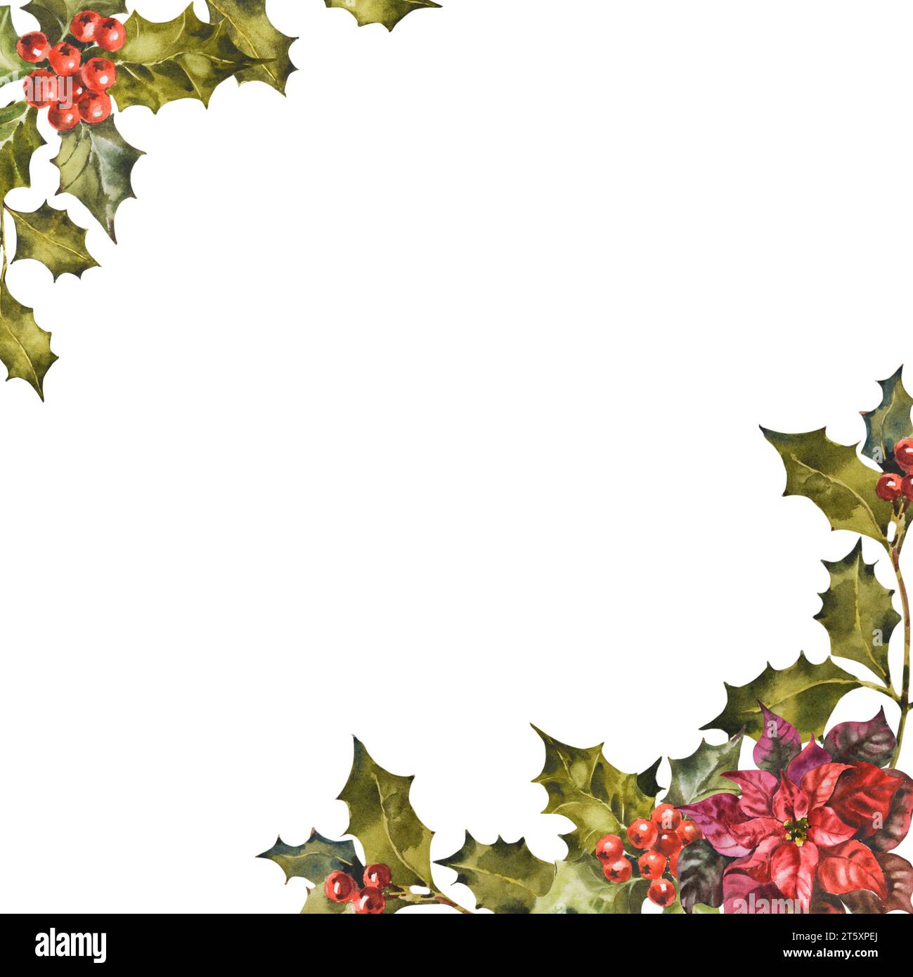 christmas-frame-of-holly-and-mistletoe-sprigs-with-berries-original-watercolor-painting-floral-illustration-for-design-print-background-stock-photo-alamy