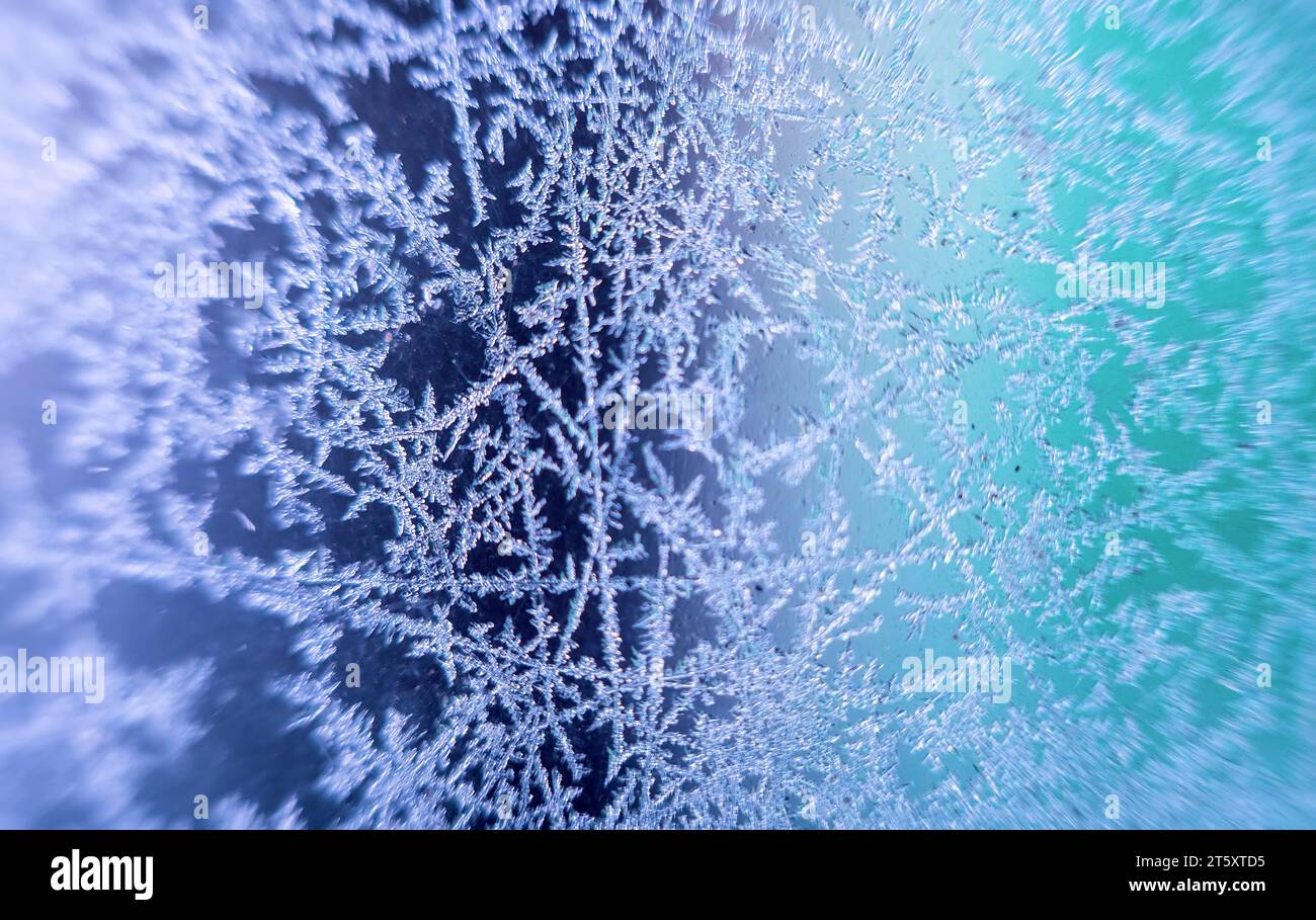 Window ice, crystallization and ice spicule, frost flower like an