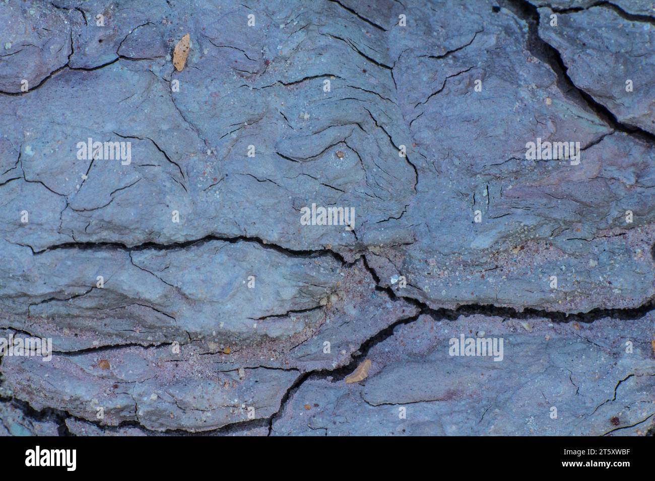 Clunch hi-res stock photography and images - Alamy