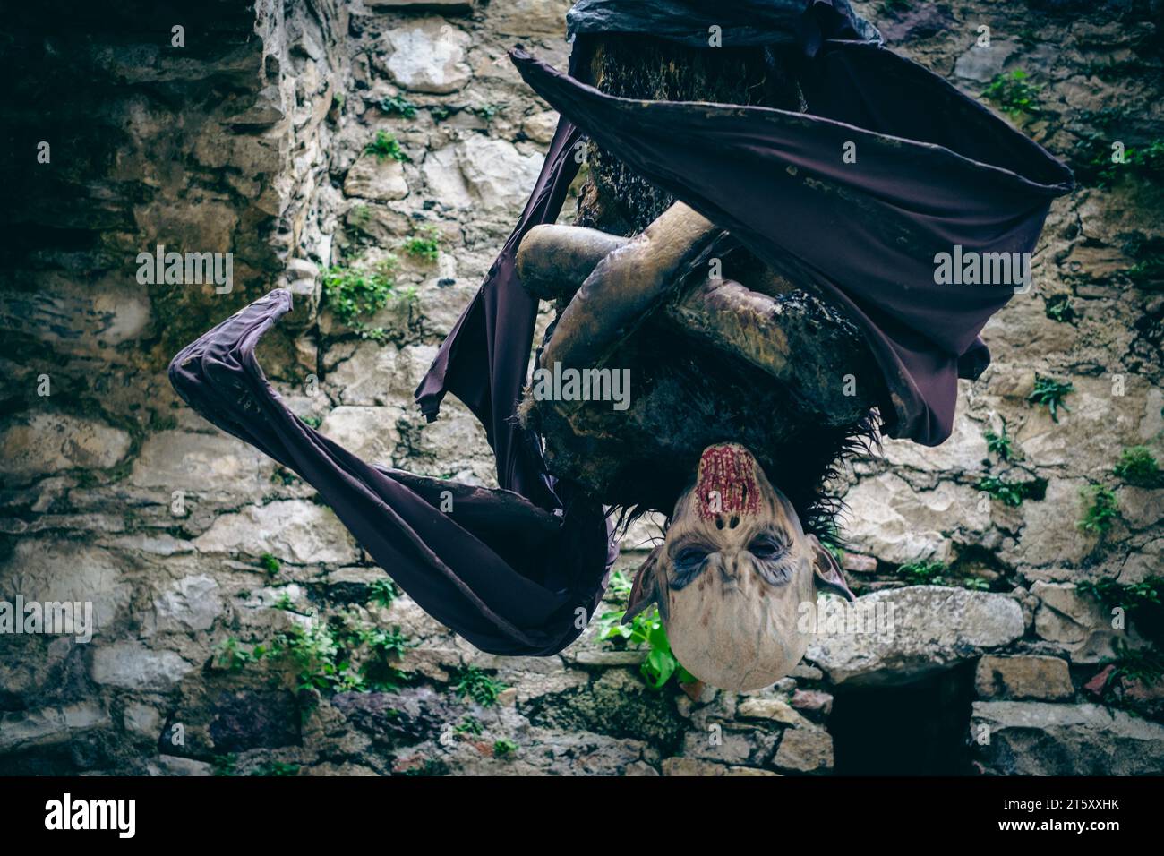 Vampire hanging upside down between castle walls. Halloween costume ...