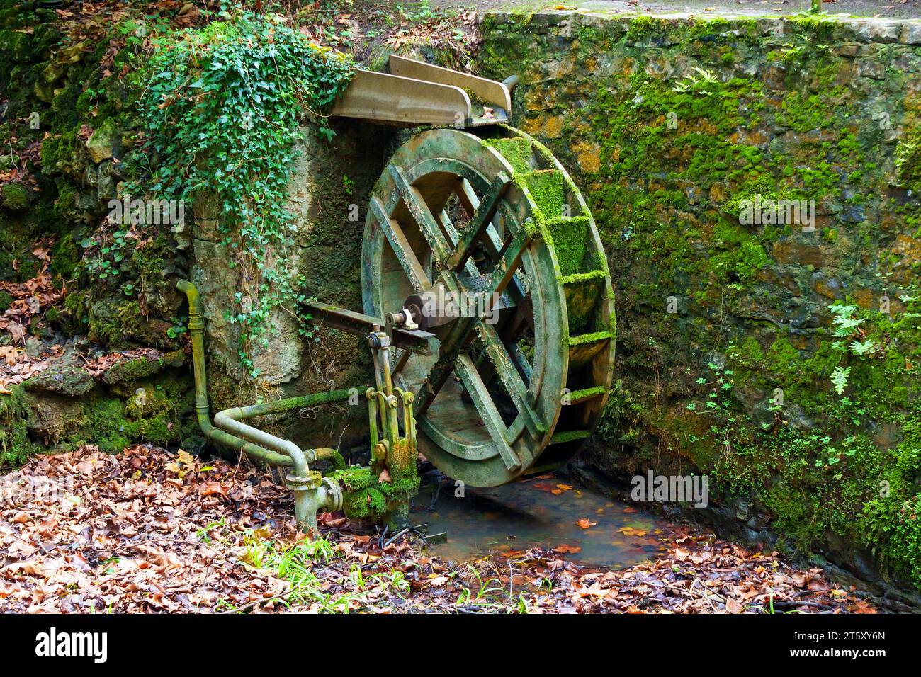Mill water wheel and dried pond with moss in autumn Stock Photo