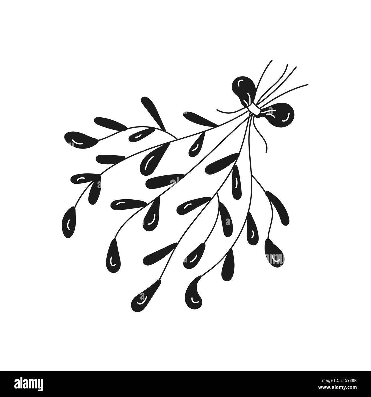 Christmas mistletoe in doodle style Stock Vector