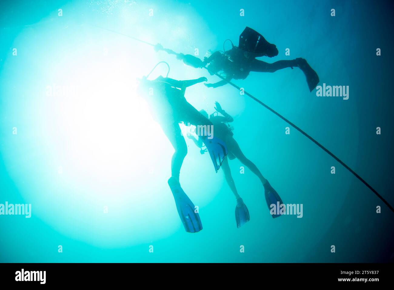 Sport fish silhouettes hi-res stock photography and images - Alamy