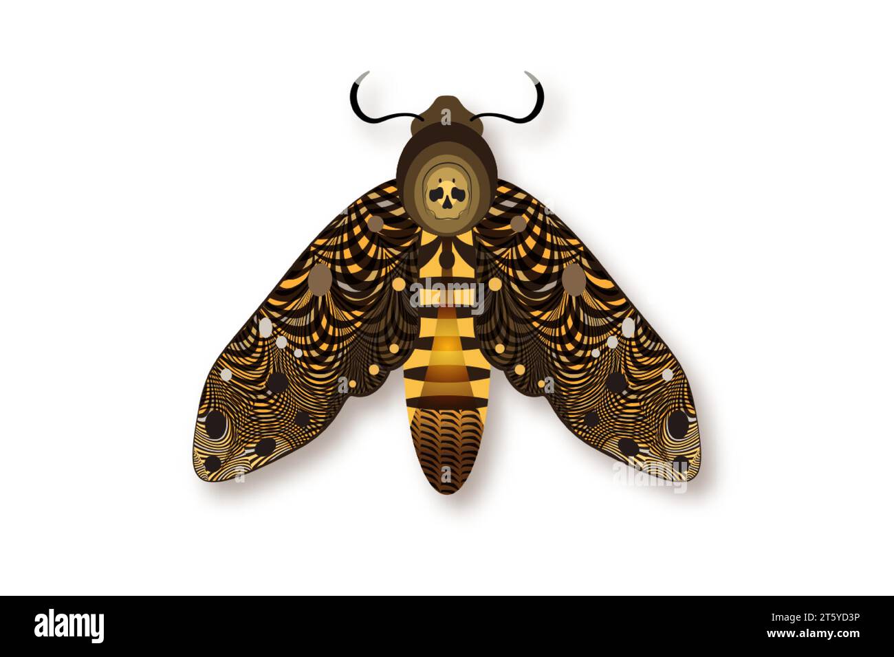 The death's head moth in dark brown colors. Night mystical butterfly with a skull. Vector illustration of Acherontia winged insect isolated on white Stock Vector