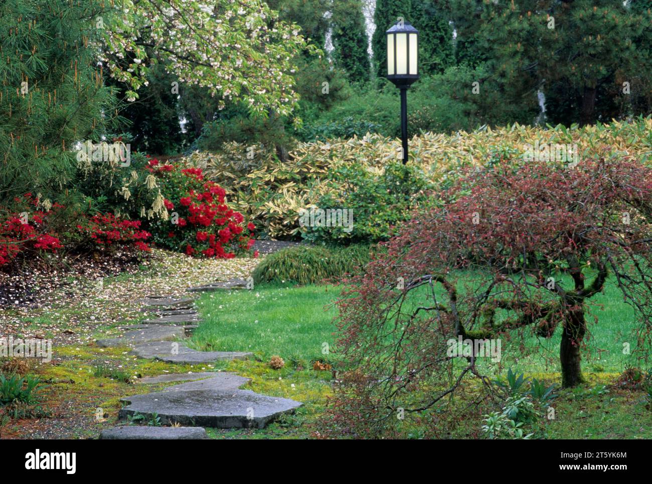 Yashiro Japanese Garden, Olympia, Washington Stock Photo