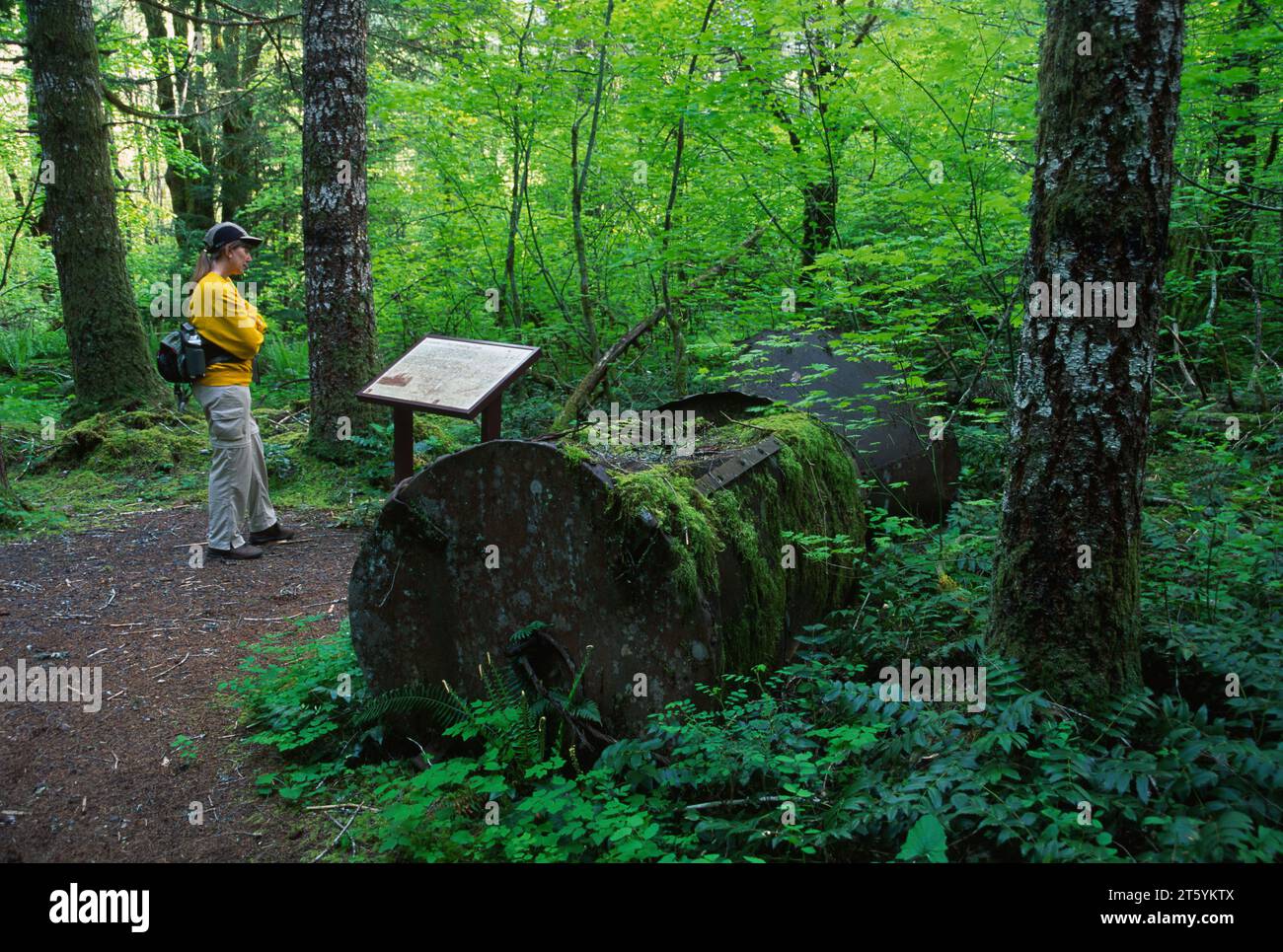 Whistler Punk Trail, Gifford Pinchot National Forest, Washington Stock