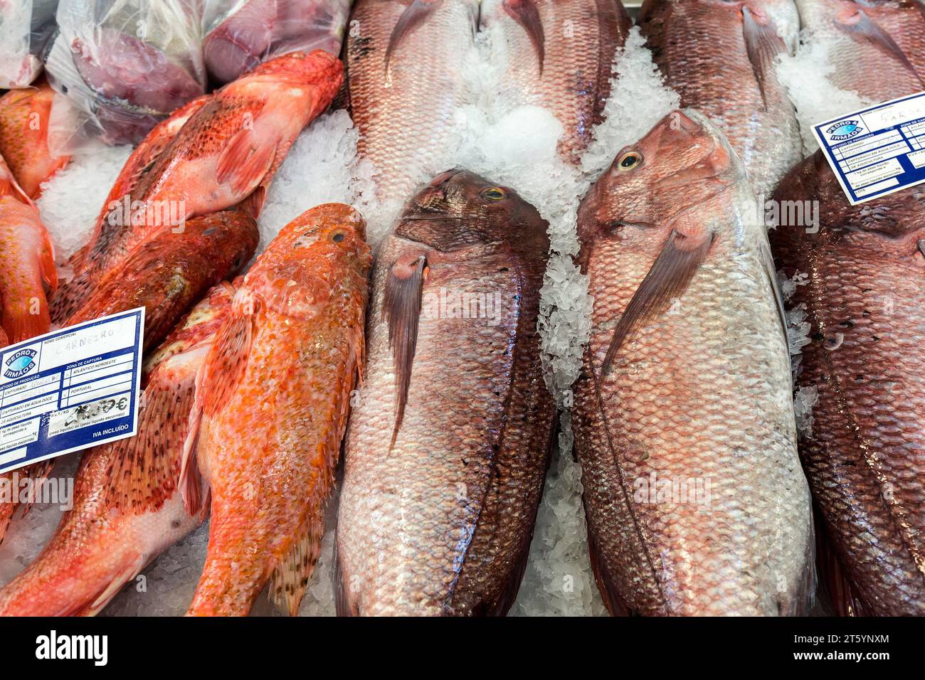 Red sea bream, also known as rose sea bream (Pagellus erythrinus), fish market, Mercado dos Lavradores market hall, Funchal, Madeira Island, Portugal Stock Photo