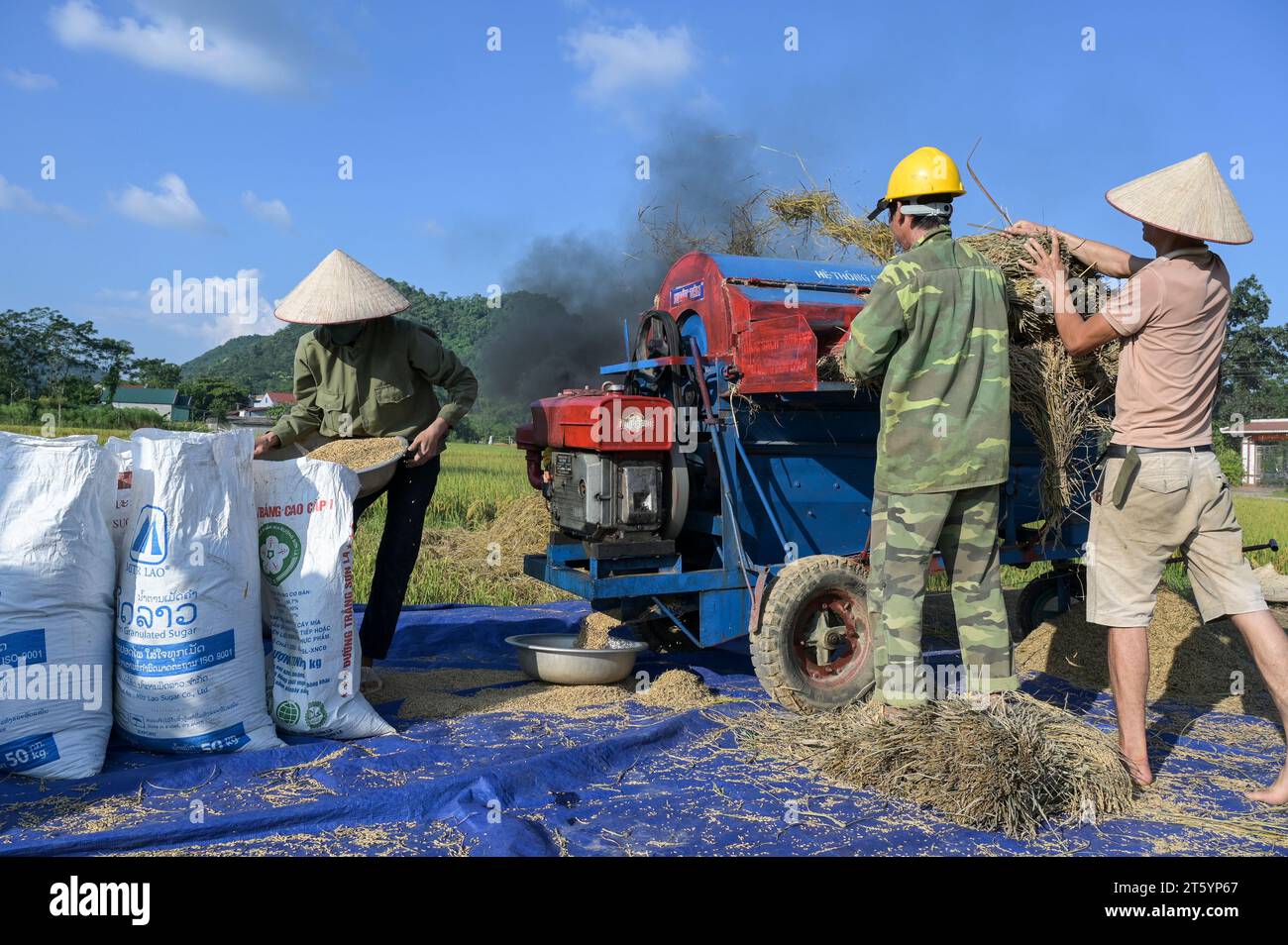 VIETNAM, Yen Bai Province, Cam Nhan, farmer thresh rice after harvest with small mobile threshing machine / Gemeinde Cam Nhan, Dreschmaschine für Reis, Kleinbauern dreschen Reis nach der Ernte Stock Photo