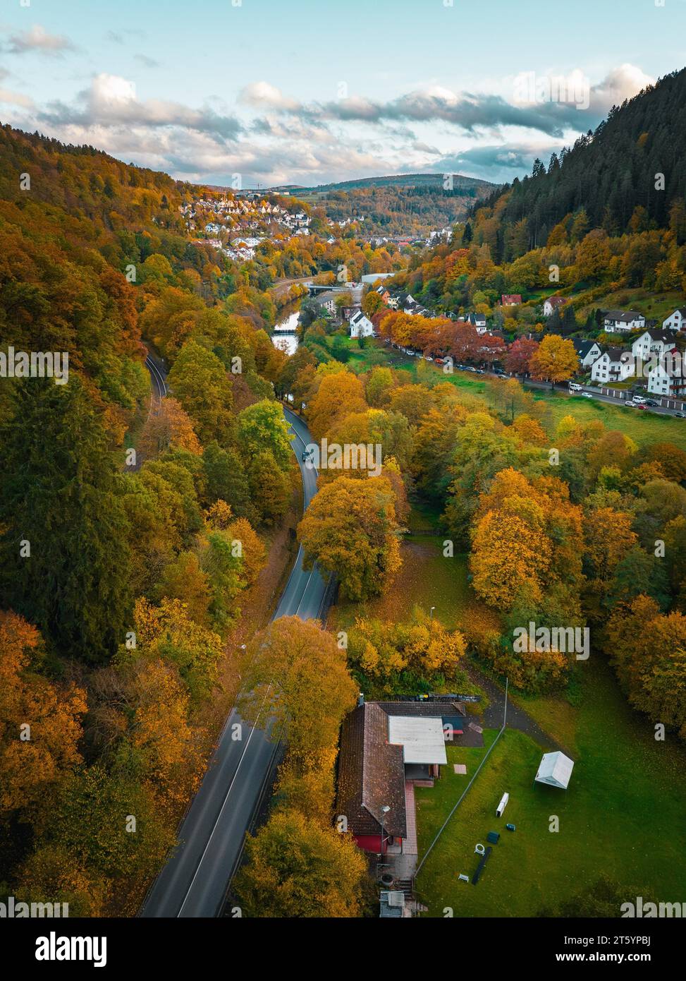 Road through the autumn forest into the town, Calw, Black Forest, Germany Stock Photo