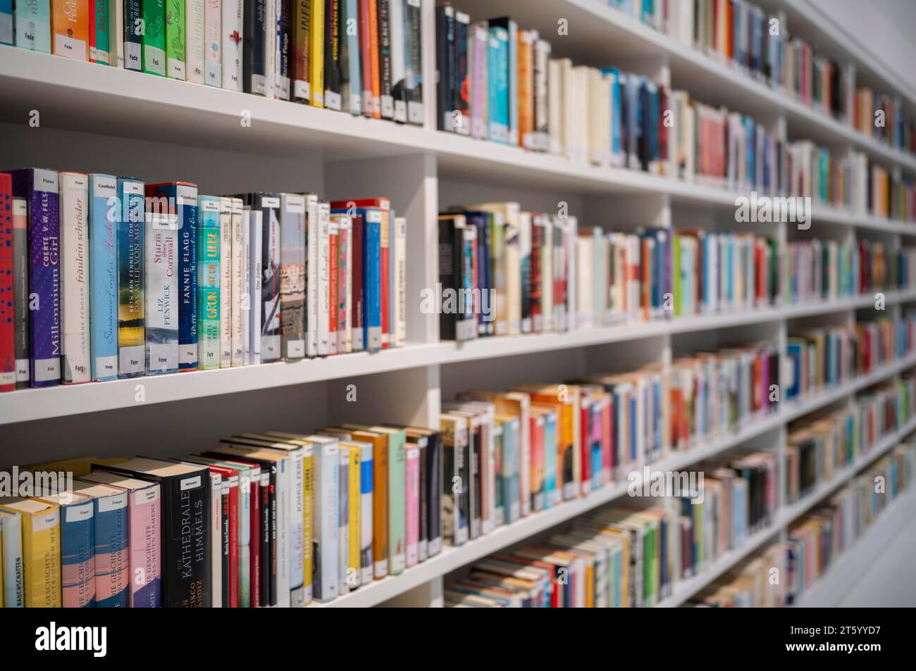 Interior photograph, bookshelf, books, city library, architect Eun