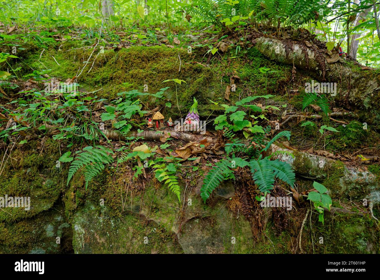Gnomes found sitting on the boulder with vegetation in the shade in the forest in late summertime Stock Photo