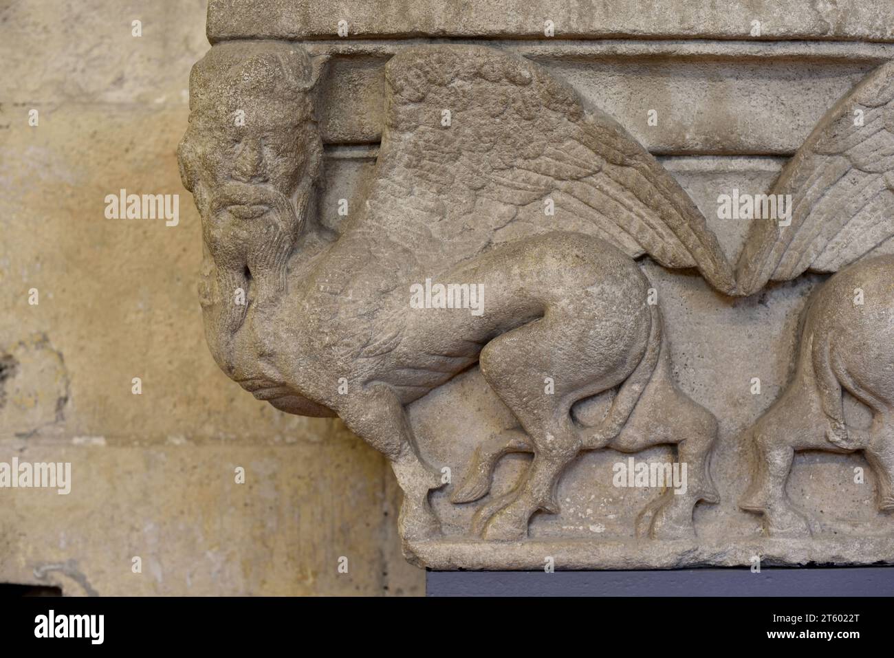 Stone Carved Capital Mythical Creature Half-Man Half Beast or Human with Wings & Bovine or Donkey Body Cloisters Church Saint Trophime Arles France Stock Photo