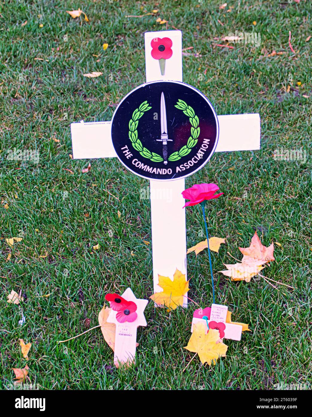 Glasgow, Scotland, UK. 7th November, 2023. Remembrance in the city saw specific contributors memorials in the remembrance garden in George square. Credit Gerard Ferry/Alamy Live News Stock Photo
