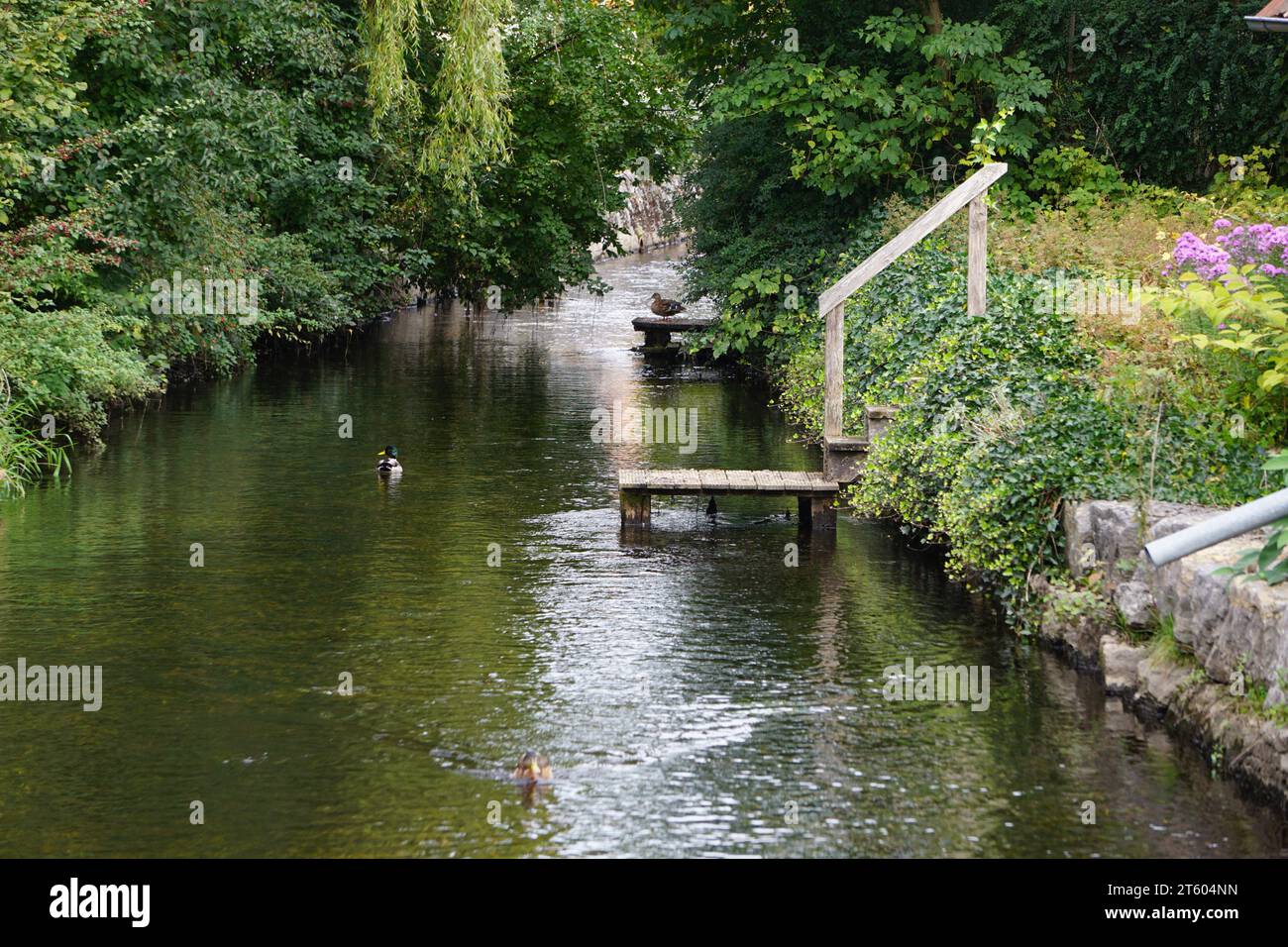 A serene landscape featuring a small river winding its way through a ...