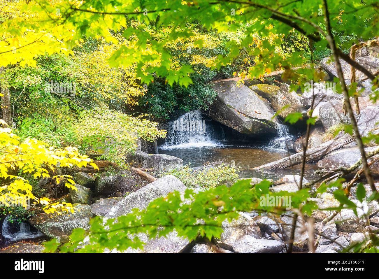 Small waterfall in Pisgah National Forest, with Autumn colors on trees